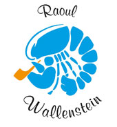 Raoul Wallenstein